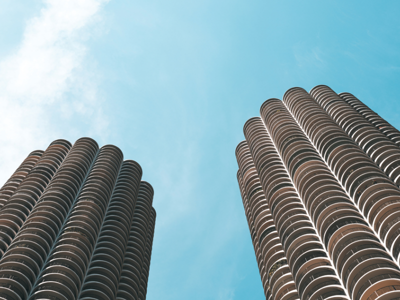 Corn Cobs - mimi allen photography