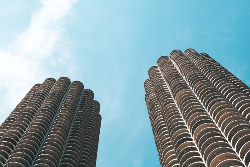 Corn Cobs - mimi allen photography