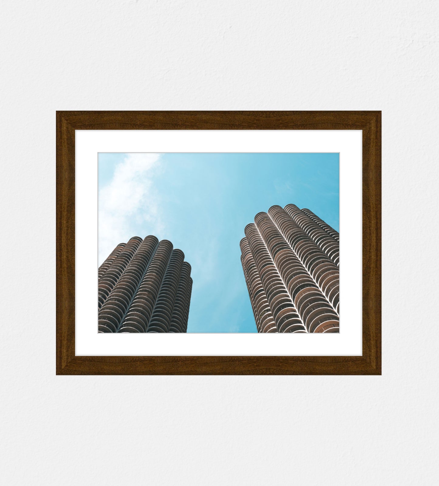 Corn Cobs - mimi allen photography