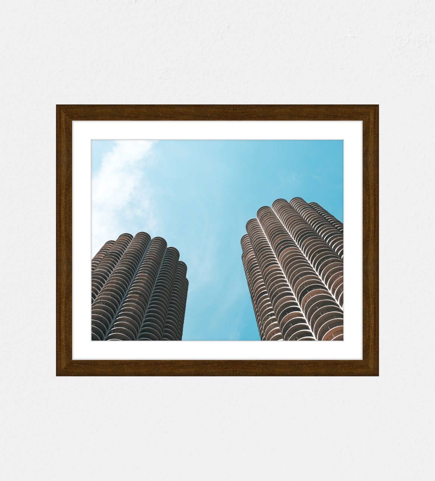 Corn Cobs - mimi allen photography