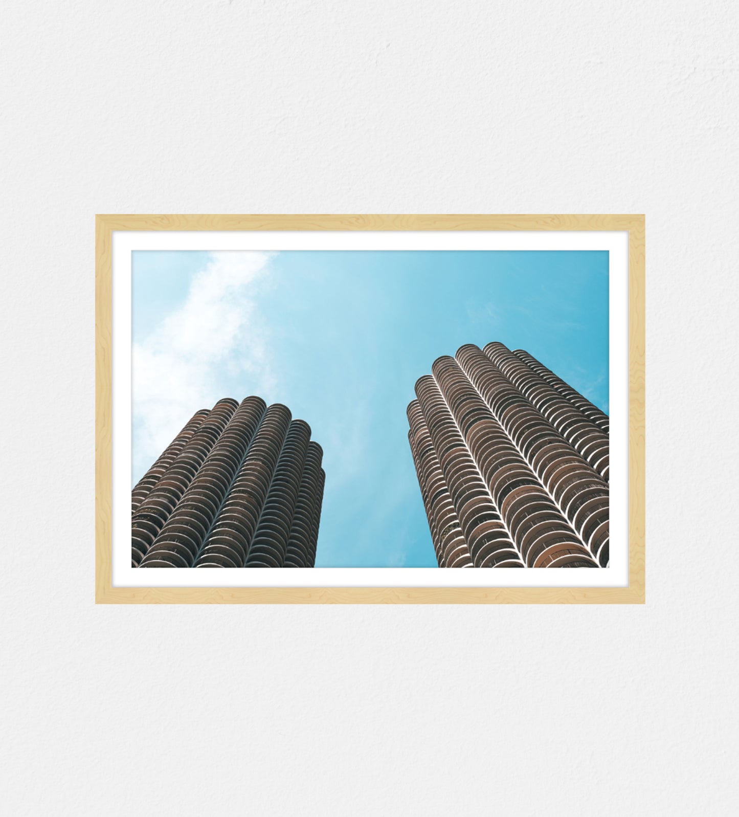 Corn Cobs - mimi allen photography